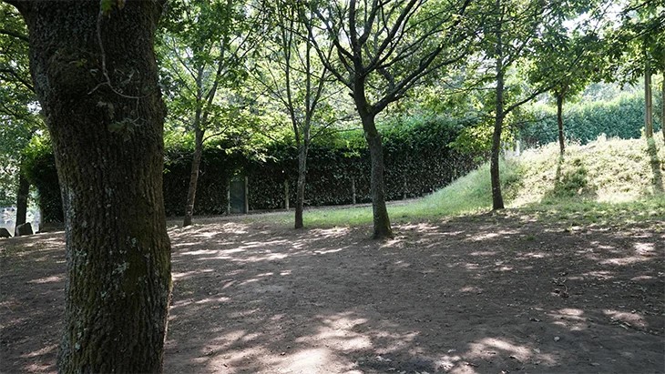 Guimarães ganha Parque Florestal de seis hectares