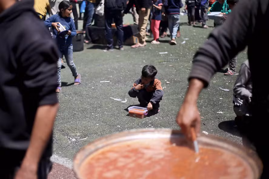 Gaza afetada pela fome, palestinianos recorrem à carne de tartaruga