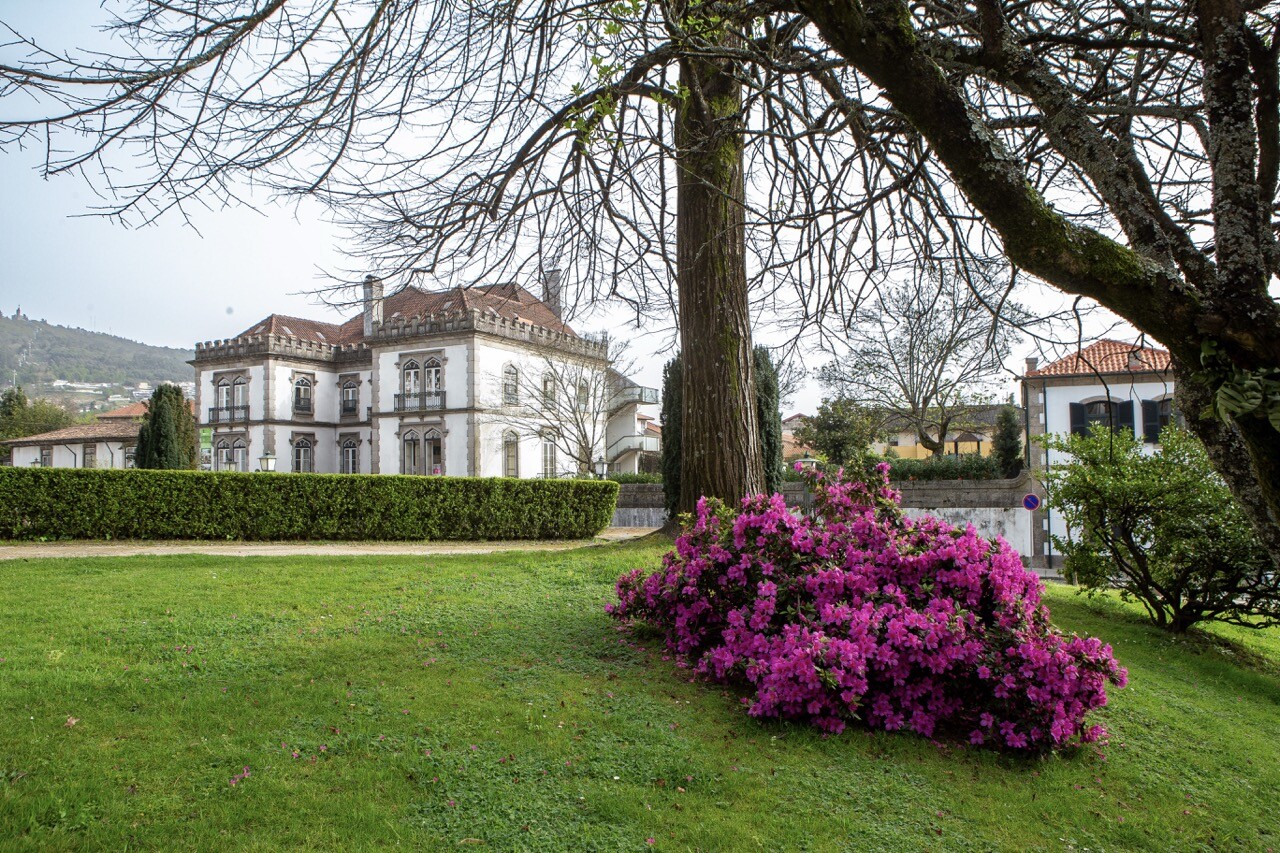 Guimarães lidera desenvolvimento de projetos climáticos em Portugal