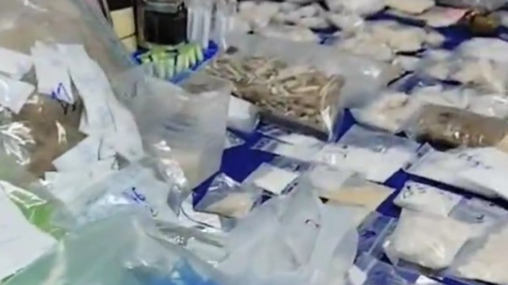 Cheiro tramou dono de armazém de droga em Lisboa (c/vídeo)
