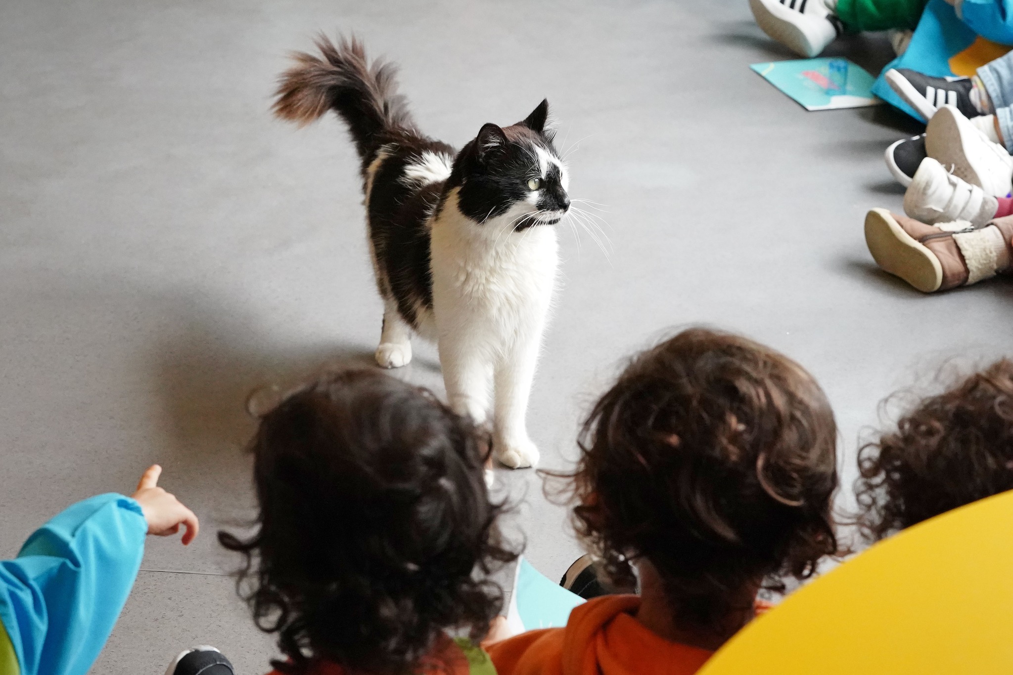 Projeto ‘Escola Amiga dos Animais’ abrange 2500 crianças de Braga em 2024
