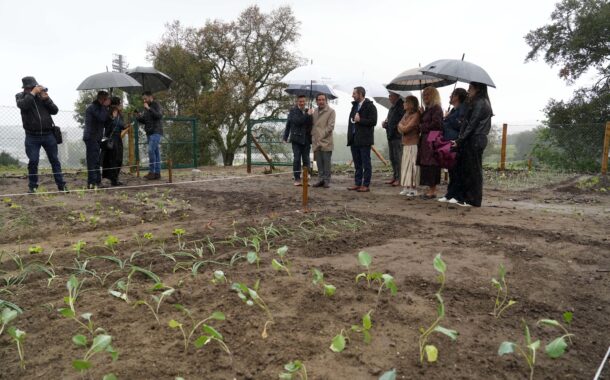Braga. Bairro Nogueira da Silva inaugura Hortas Comunitárias
