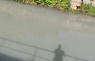 Guimarães. Nova descarga poluente no rio Selho