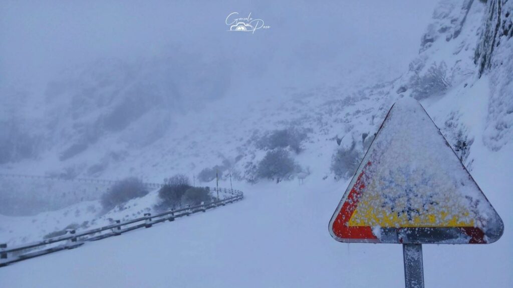 Quatro pessoas resgatadas em percurso pedonal na Serra da Estrela