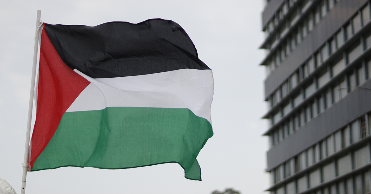 Professores da UMinho entre as centenas que assinam petição pela Palestina