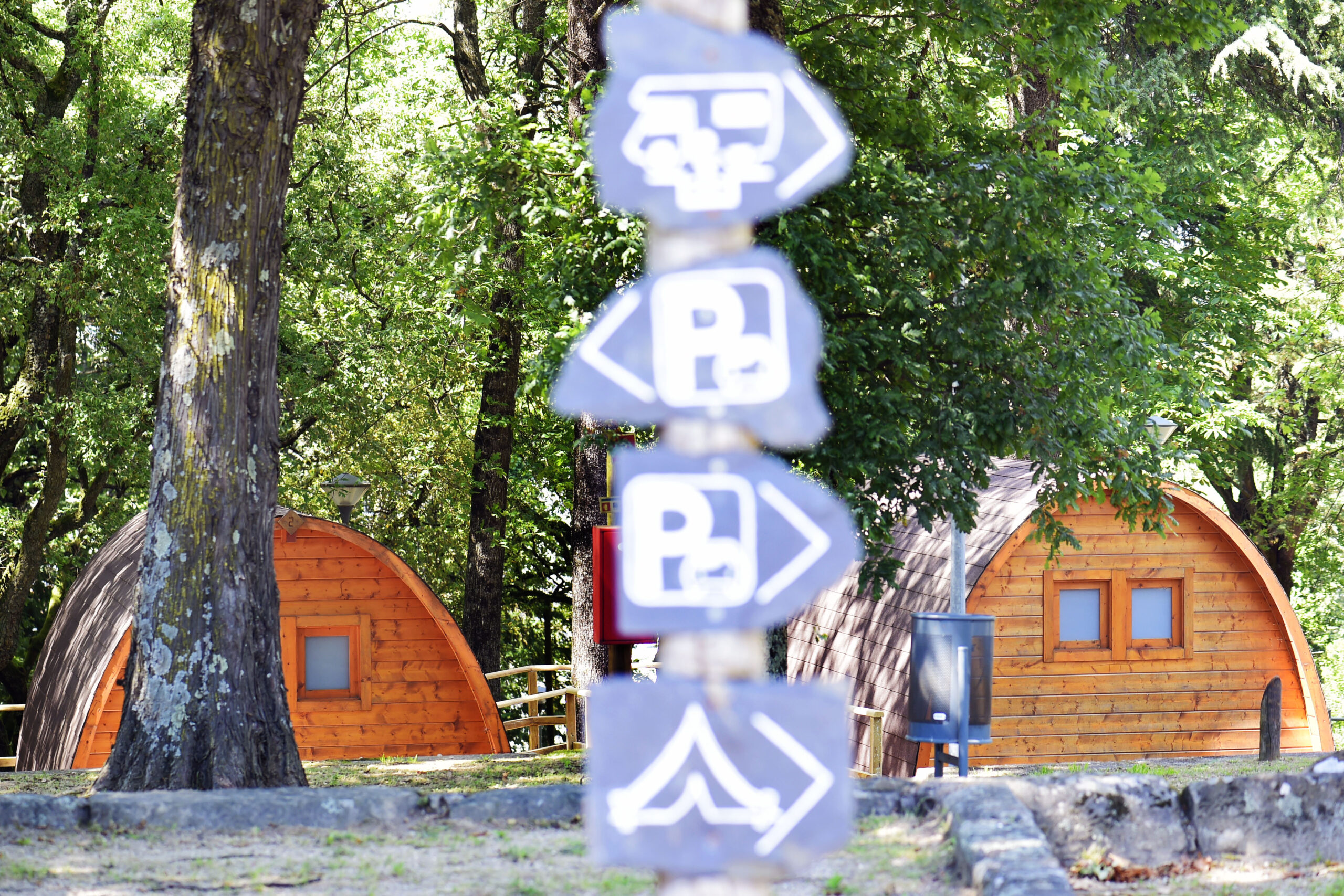 Parque de Campismo de Braga repete candidatura ao galardão ‘Green Key’
