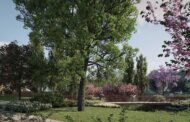 Famalicão ganha 10 hectares de área verde com novos parques à entrada da cidade