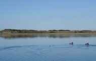 Parque Natural do Litoral Norte lança concurso de fotografia