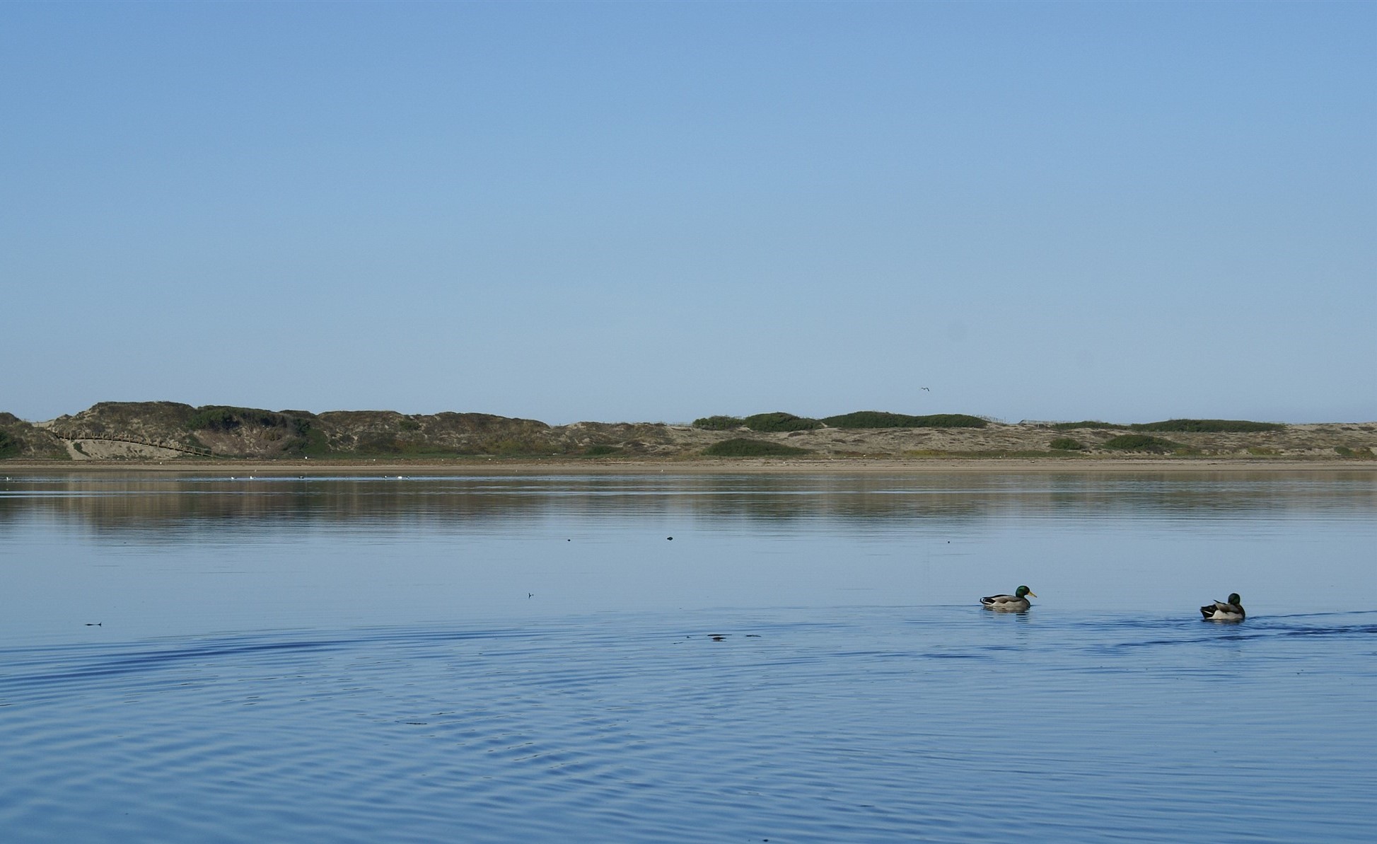 Parque Natural do Litoral Norte lança concurso de fotografia