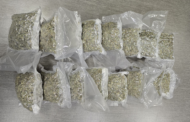 PJ detém três jovens no Aeroporto de Lisboa por tráfico de droga