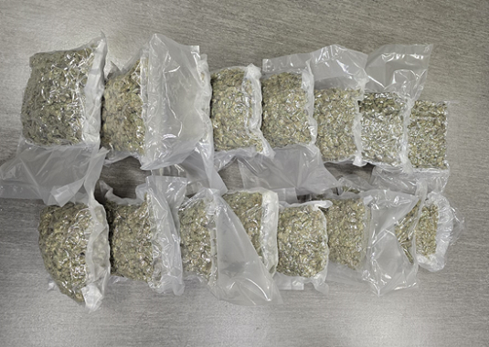 PJ detém três jovens no Aeroporto de Lisboa por tráfico de droga