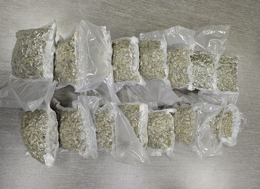 PJ detém três jovens no Aeroporto de Lisboa por tráfico de droga
