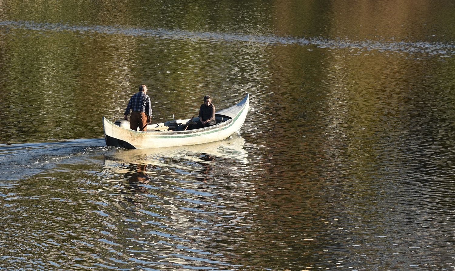 Criada comissão para gerir pesca do sável e da lampreia