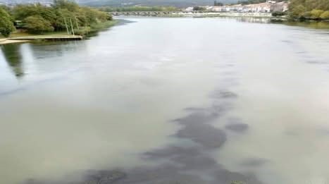 APA diz que não existem motivos de preocupação pela contaminação do rio Lima em Portugal