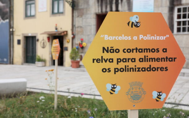 ‘Barcelos Poliniza’ alimenta abelhas e borboletas até final de verão