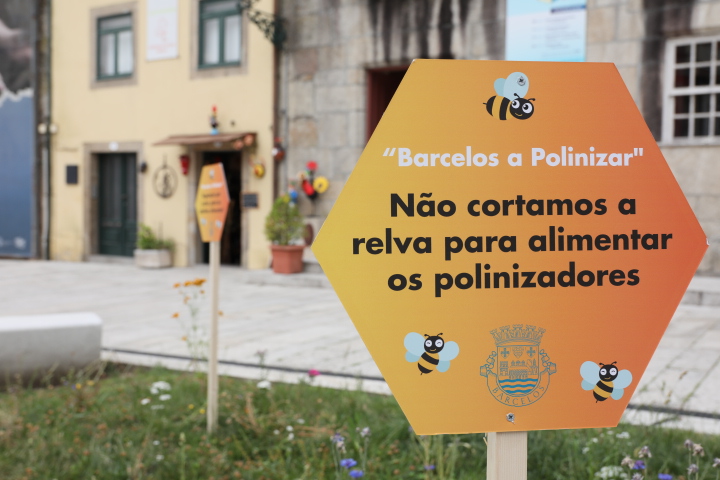 ‘Barcelos Poliniza’ alimenta abelhas e borboletas até final de verão