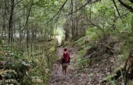 Caminho da Geira próximo de atingir sete mil peregrinos