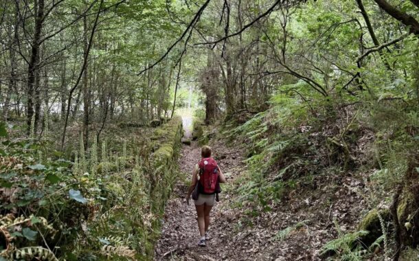 Caminho da Geira próximo de atingir sete mil peregrinos