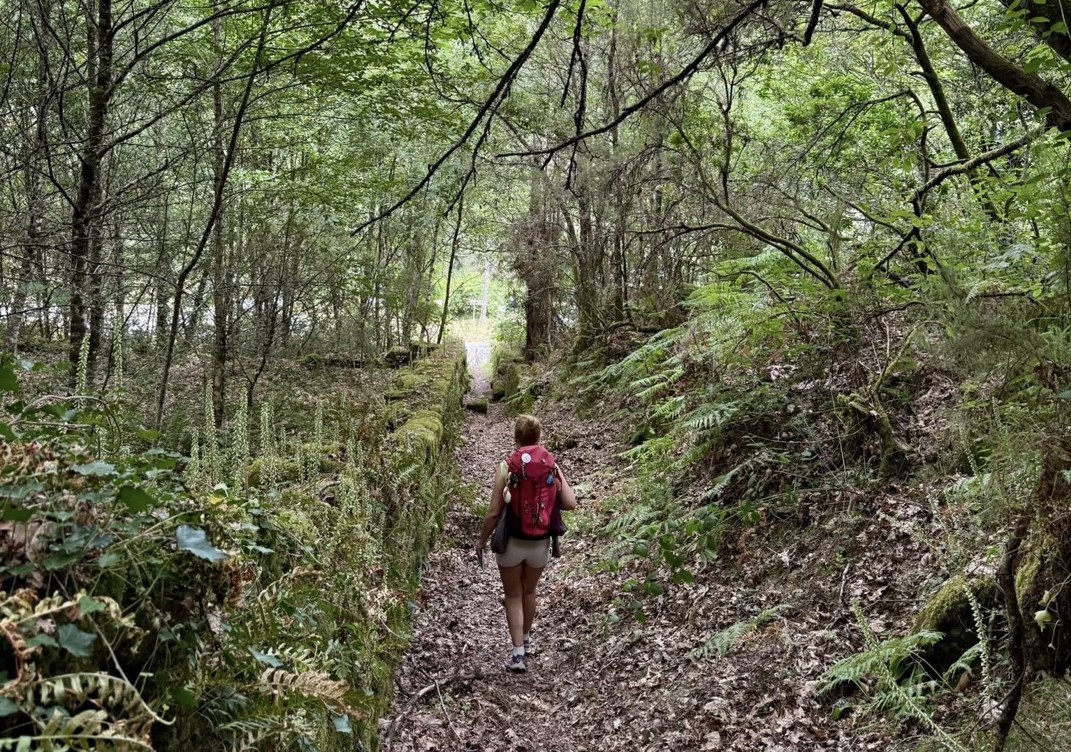 Caminho da Geira próximo de atingir sete mil peregrinos