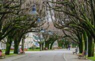Marginal – Festa no Jardim regressa a Viana entre 3 e 13 de julho