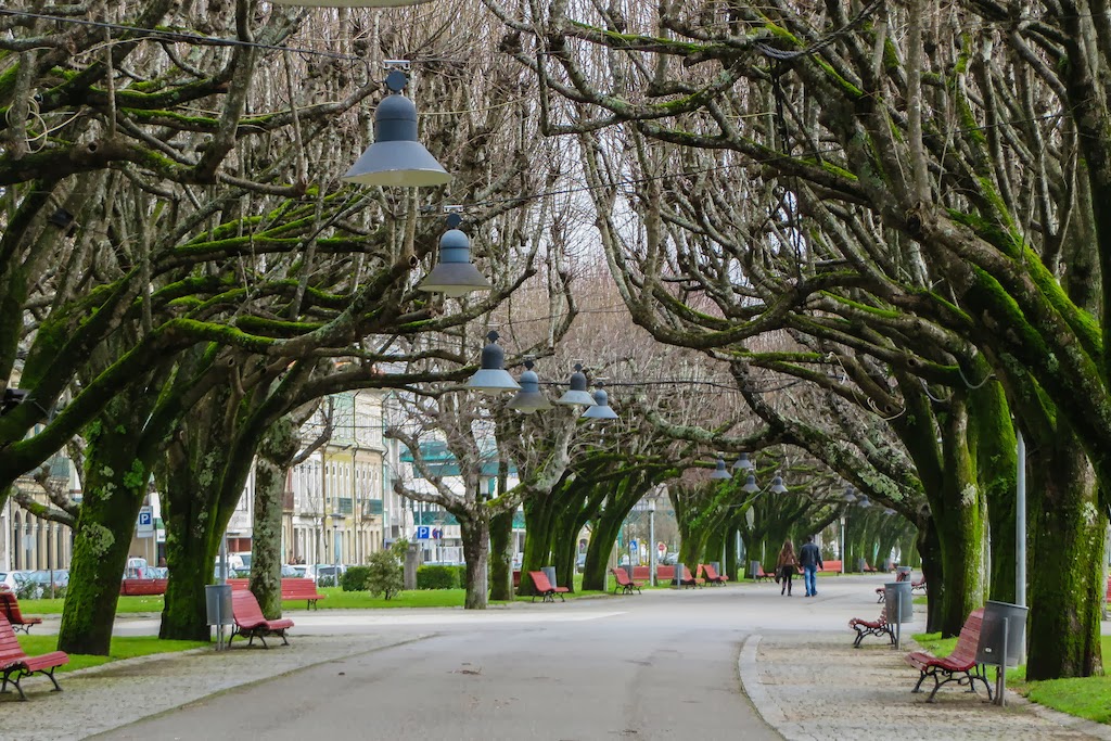 Marginal – Festa no Jardim regressa a Viana entre 3 e 13 de julho