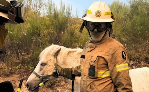 GNR salva cavalo do incêndio em Ponte da Barca