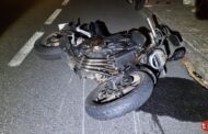 Galiza. Colisão com javali deixa motociclista ferido