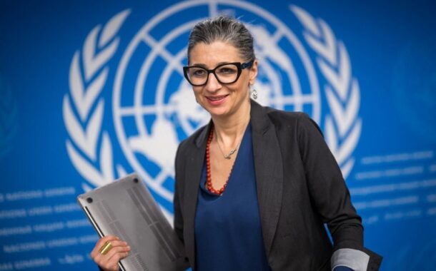 Gaza. Franscesca Albanese diz-se alvo de intimidação dos Estados Unidos