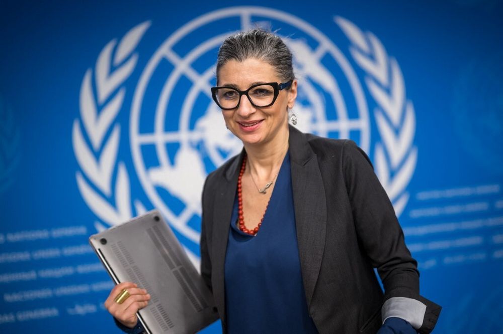 Gaza. Franscesca Albanese diz-se alvo de intimidação dos Estados Unidos