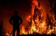 Pena para crime de incêndio florestal pode chegar aos 12 anos de prisão