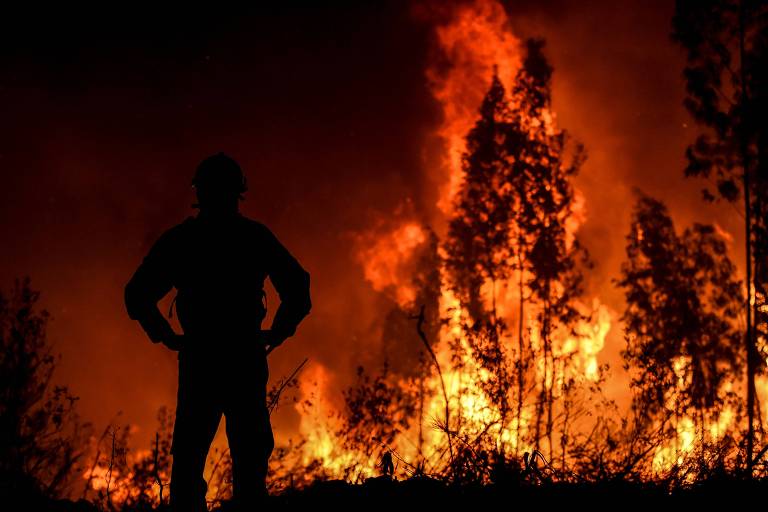 Pena para crime de incêndio florestal pode chegar aos 12 anos de prisão