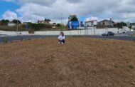 Autárquicas. PAN contra “propaganda ambientalista” e “rotundas áridas” em Famalicão