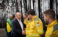 Incêndios. Governo anuncia aprovação do Plano de Intervenção na Floresta de 254 milhões de euros até ao final do mês