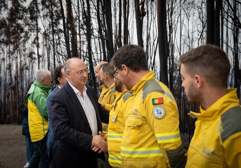Incêndios. Governo anuncia aprovação do Plano de Intervenção na Floresta de 254 milhões de euros até ao final do mês