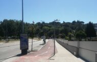 SOS Árvore Braga recorda “abate vergonhoso” que deixou avenida “inóspita, uma ilha de calor e poluição” (c/vídeo)