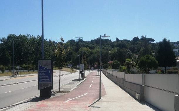 SOS Árvore Braga recorda “abate vergonhoso” que deixou avenida “inóspita, uma ilha de calor e poluição” (c/vídeo)
