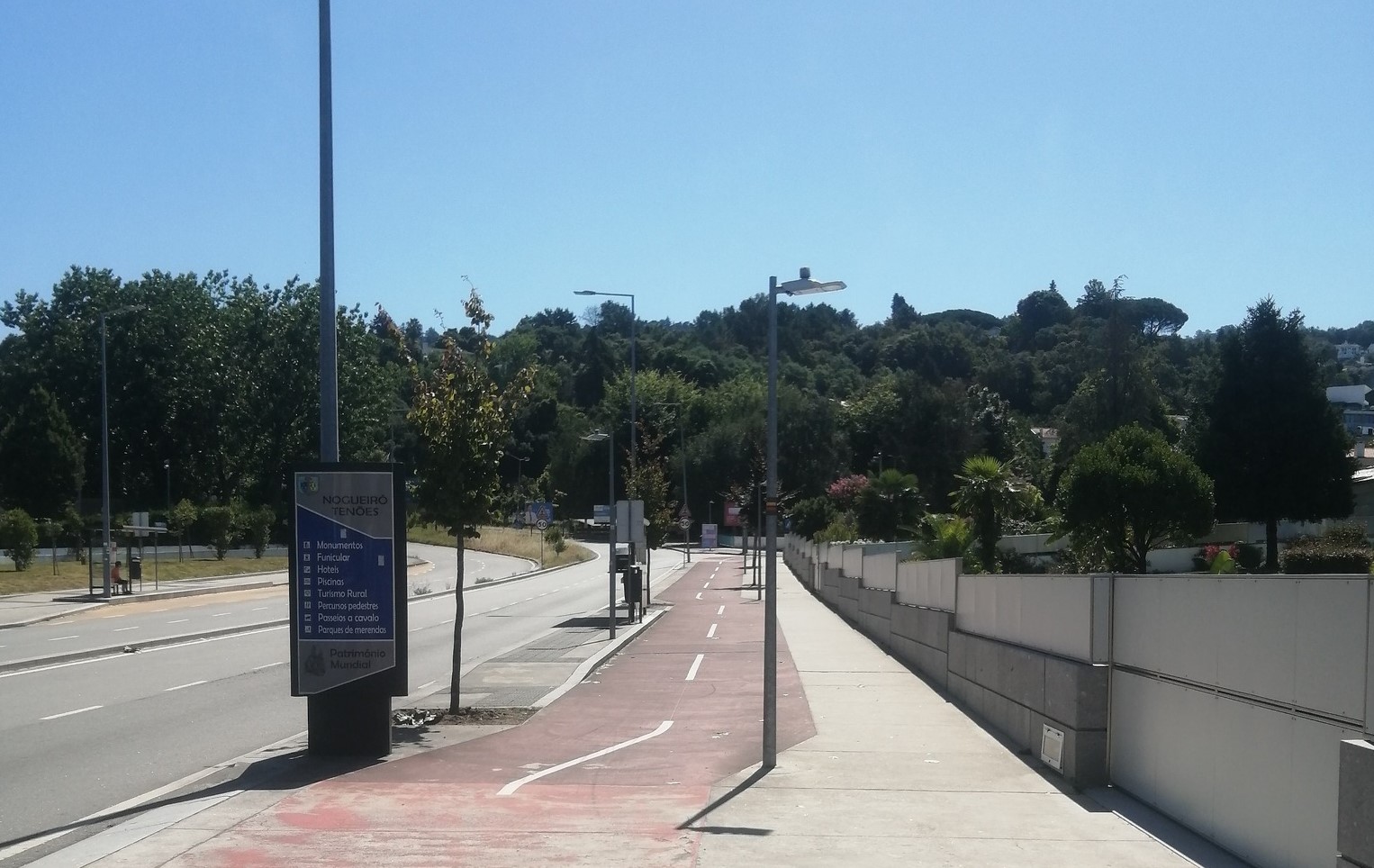 SOS Árvore Braga recorda “abate vergonhoso” que deixou avenida “inóspita, uma ilha de calor e poluição” (c/vídeo)