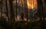 DGS lança guia de alimentação para bombeiros a combater incêndios