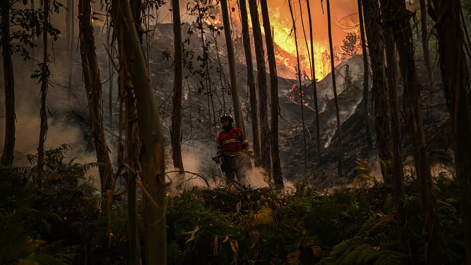 DGS lança guia de alimentação para bombeiros a combater incêndios