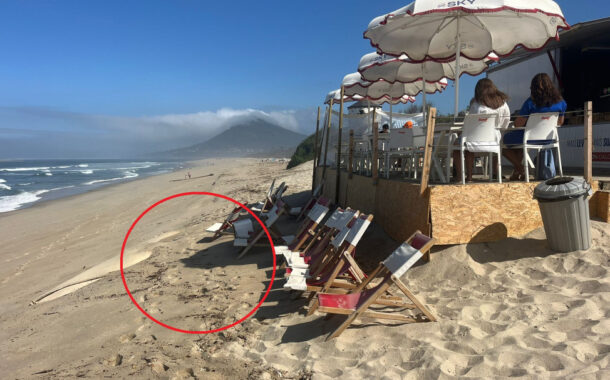 Caminha. Mar ‘bateu à porta’ de bar durante a madrugada em Moledo
