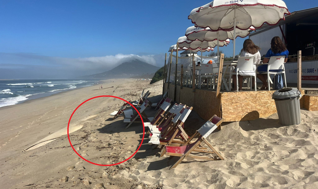 Caminha. Mar ‘bateu à porta’ de bar durante a madrugada em Moledo