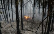 Incêndios. Comissão Técnica Independente aprovada com votos contra do Chega e IL
