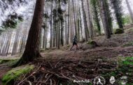 Grande Trail Serra D’Arga corre-se este fim de semana com recorde de inscritos