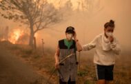 SOS Florestas manifesta-se ‘Por uma Floresta do Futuro - Contra os Fogos Florestais’ este sábado em Braga