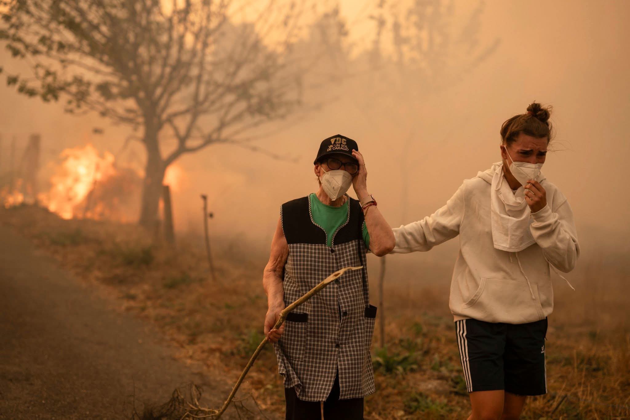 SOS Florestas manifesta-se ‘Por uma Floresta do Futuro - Contra os Fogos Florestais’ este sábado em Braga