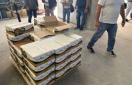 Incêndios. Câmara de Ponte da Barca entrega alimento para abelhas a apicultores afetados