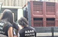 ASAE e Vinhos Verdes controlam autenticidade das uvas durante vindimas