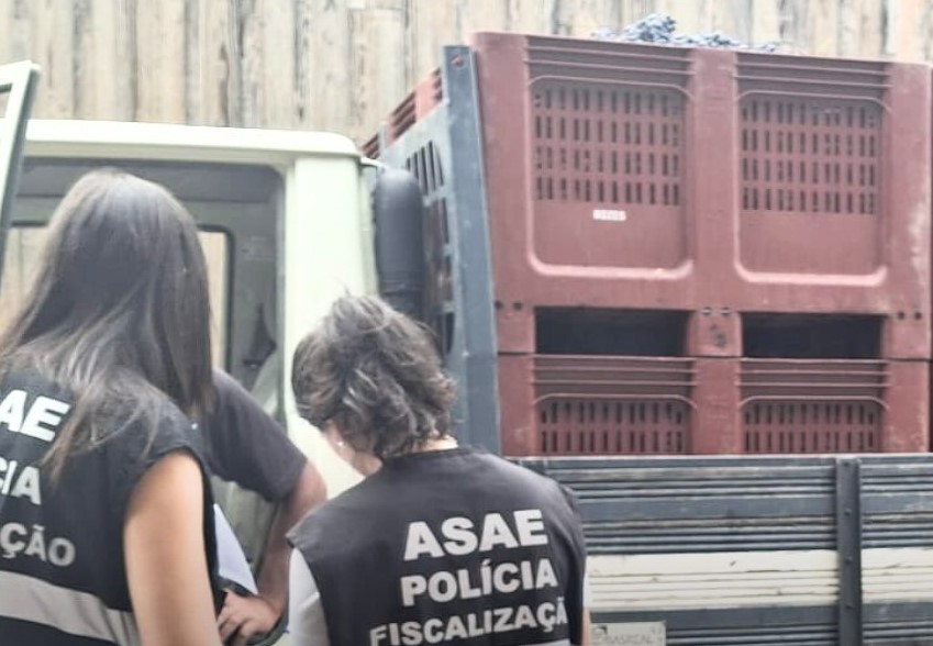 ASAE e Vinhos Verdes controlam autenticidade das uvas durante vindimas