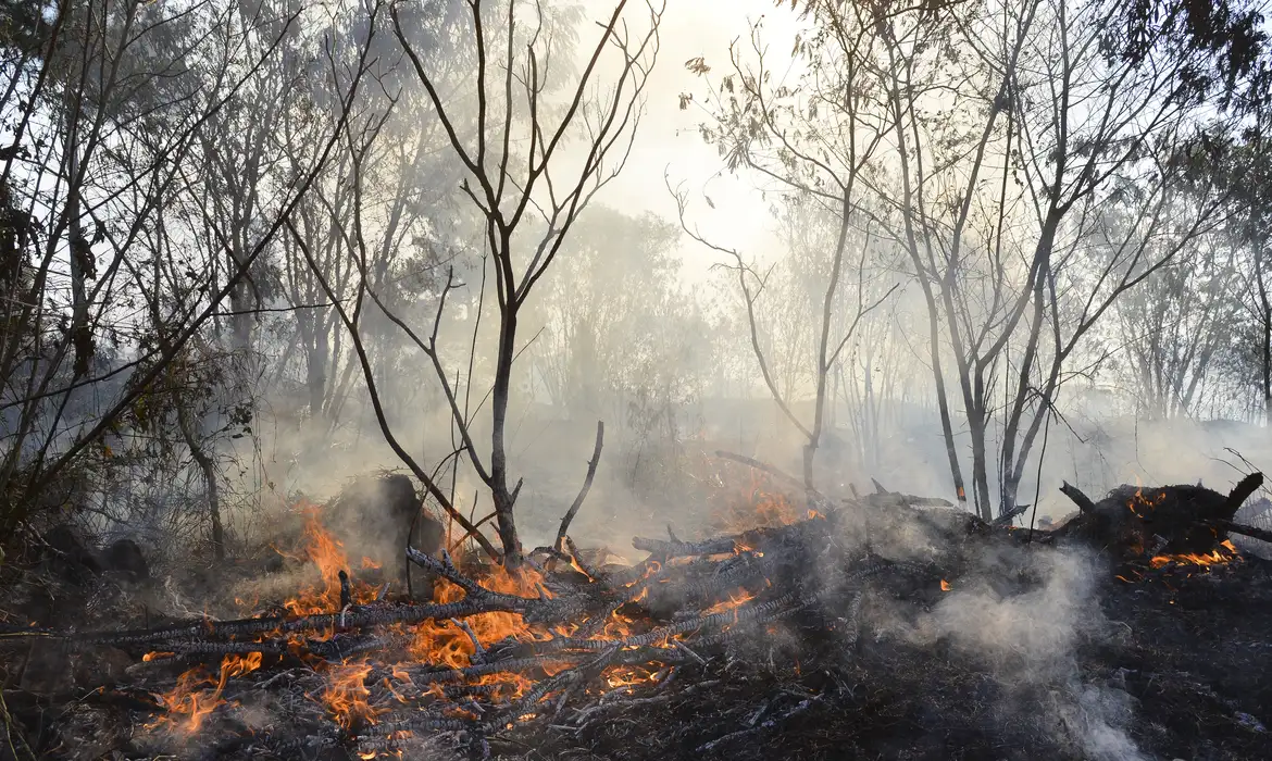 Montenegro diz que no Norte “já estão pagas” 143 candidaturas dos afetados pelos incêndios