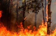 Incêndios. Terras de Bouro e Fafe recebem apoio financeiro para mitigar impacto dos fogos